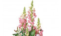 Vue sur les mufliers de couleur rose de la composition florale | Entrefleuristes
