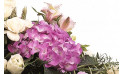 vue sur un hortensia parme de la raquette de fleurs Affection | Entrefleuristes
