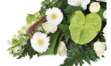 zoom sur des gerberas blancs et un anthurium vert | Entrefleuristes