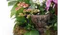 Zoom 2 image de Infini, coupe de plantes rose & blanche - Entrefleuristes