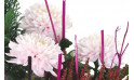 Zoom 2 image de Le jardin des Anges, assemblage de plantes fleuries - Entrefleuristes