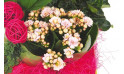 vue sur un kalanchoé de la Composition de deuil blanche, rose, fuchsia Souvenir | Entrefleuristes