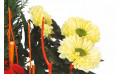 Zoom image de Jardin d'Hiver, assemblage de plantes fleuries - Entrefleuristes