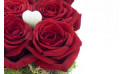 zoom sur une magnifique rose rouge | Entrefleuristes