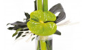 zoom sur l'anthurium du Bouquet d'amaryllis Un Hiver à Paris | Entrefleuristes