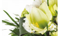 zoom sur Cocon, bouquet blanc de saison - Entrefleuristes