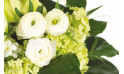 zoom sur Cocon, bouquet blanc de saison - Entrefleuristes