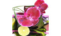  Zoom sur le fleuron d'orchidée de la composition florale | Entrefleuristes