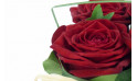 zoom sur une rose rouge de la Composition de roses rouges Pot d'Amour | Entrefleuristes