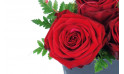 zoom sur une rose rouge du Composition de roses rouges Cupidon | Entrefleuristes
