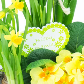 mosaïque : macro sur la décoration du Panier printanier de Jonquilles et Primevère | Entrefleuristes mosaïque : macro sur la décoration du Panier printanier de Jonquilles et Primevère | Entrefleuristes