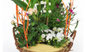 Zoom 1 image d' Aubaine, assemblage de muguet & plantes - Entrefleuristes