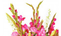 zoom sur les glaieul rose du Bouquet de fleurs rose Eclatant | Entrefleuristes