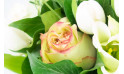  Image avec un zoom sur une rose jaune | Entrefleuristes
