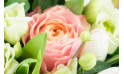 image sur une rose rose et lisianthus | Entrefleuristes