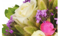 Zoom 1 image de Panache, bouquet rond blanc & rose - Entrefleuristes