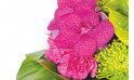 Zoom 1 image Boudoir, Bouquet rond fuchsia et vert - Entrefleuristes