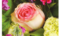 zoom sur une rose rose du bouquet | Entrefleuristes