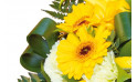 zoom sur un gerberas jaune | Entrefleuristes