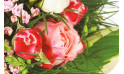 zoom sur une rose rose de la création florale | Entrefleuristes