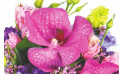 Zoom sur une orchidée vanda - Perle d'O, Bouquet rond | Entrefleuristes