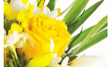 Zoom Boucle d'Or, Bouquet jaune et blanc | Entrefleuristes