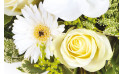 zoom sur une rose blanche et un gerbera blanc du bouquet | Entrefleuristes