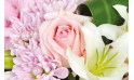 Zoom2 Velour Rose, Composition de fleurs| Entrefleuristes