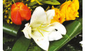Zoom Fleurs d'Oranger, Bouquet jaune-orangé| Entrefleuristes