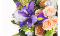  zoom sur un iris de couleur parme | Entrefleuristes