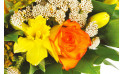 zoom sur une rose orange et autre fleurs jaunes | Entrefleuristes