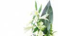 zoom sur le haut du Bouquet de deuil blanc, Condoléances | Entrefleuristes