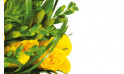zoom sur des fleurs jaune du bouquet Vert Tige | Entrefleuristes