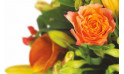 zoom sur une rose orange du bouquet de fleurs | Entrefleuristes