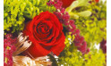 image d'une rose rouge du bouquet Révélation | Entrefleuristes