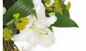  zoom sur un lys blanc de la création florale | Entrefleuristes