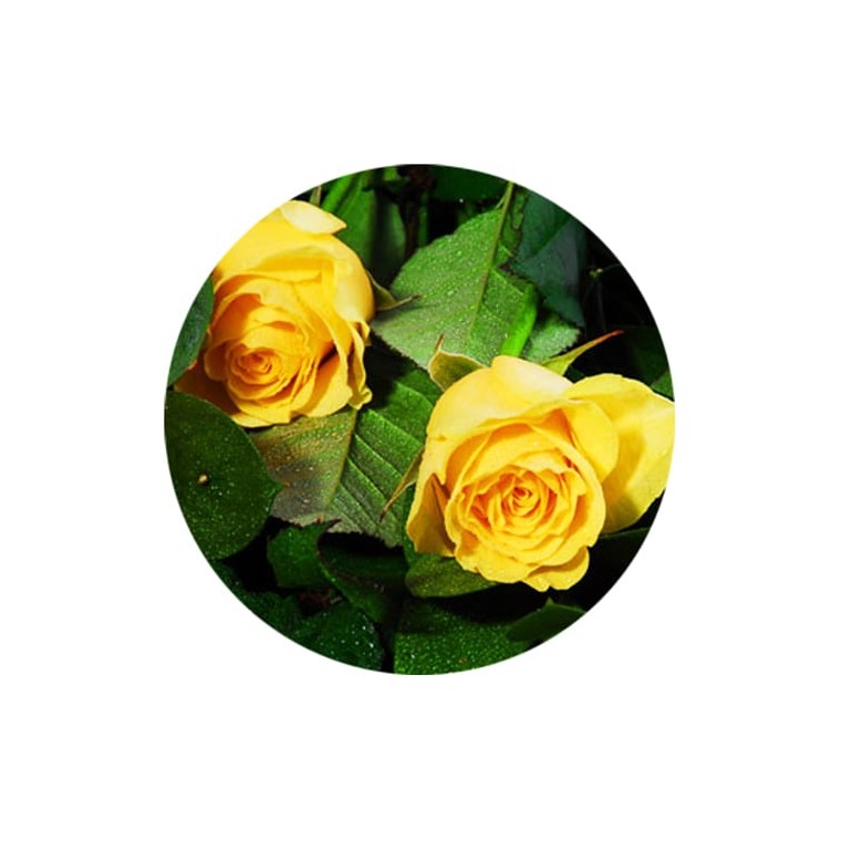  image du bouquet de Roses jaunes moyennes tiges | Entrefleuristes