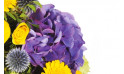 zoom sur un hortensia de couleur mauve | Entrefleuristes
