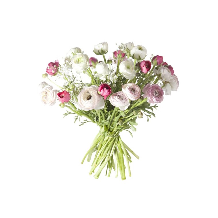 Bouquet de renoncules pastel | Livraison fleurs saison par fleuriste -  EntreFleuristes