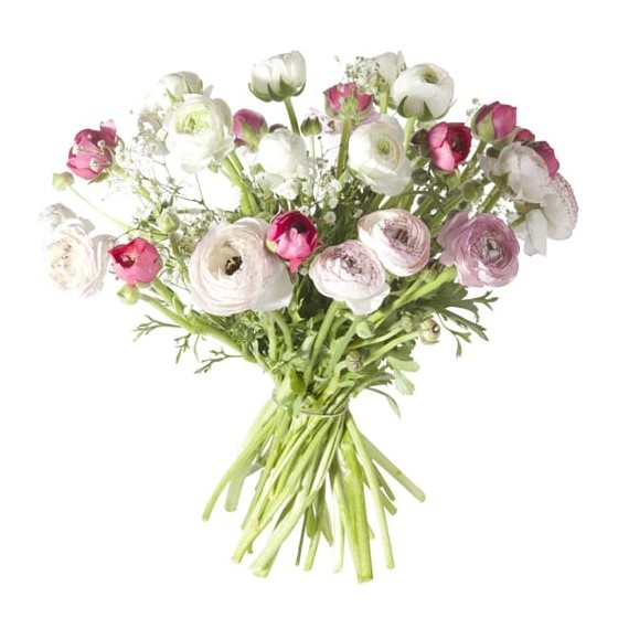 image du Bouquet de Renoncules Pastel  | Entrefleuristes