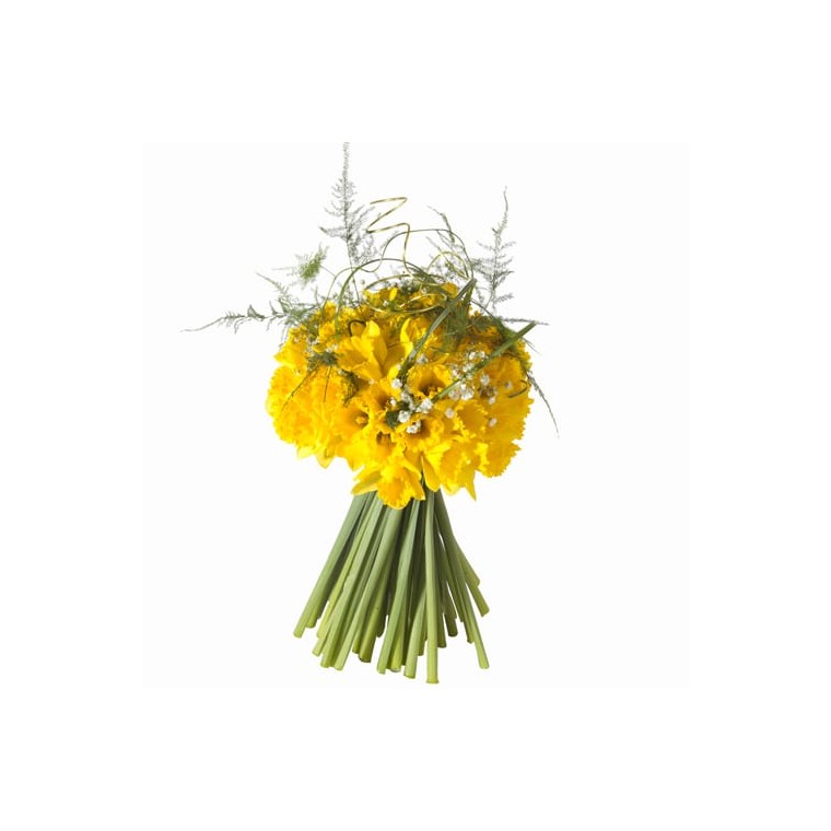 Bouquet rond de jonquilles | Livraison fleurs de saison 7j/7 en 4h -  EntreFleuristes