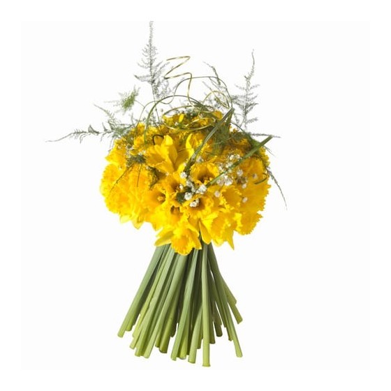 image du Bouquet rond de jonquilles, Plaisance| Entrefleuristes