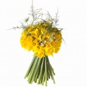 image du Bouquet rond de jonquilles, Plaisance| Entrefleuristes