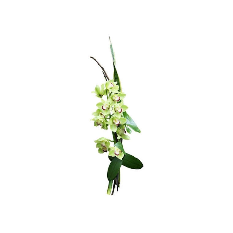 image du Bouquet linéaire, Rêve en fleurs  | Entrefleuristes