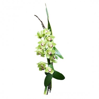 image du Bouquet linéaire, Rêve en fleurs  | Entrefleuristes