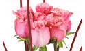 vue sur les roses rose de la composition florale | Entrefleuristes