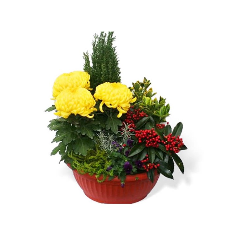 Image de Coupe de plantes fleuries jaunes & rouges  - Entrefleuristes