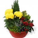 Image de Coupe de plantes fleuries jaunes & rouges  - Entrefleuristes