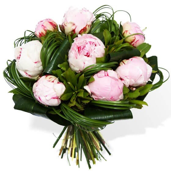 image du Bouquet rond de Pivoines roses | Entrefleuristes image du Bouquet rond de Pivoines roses | Entrefleuristes