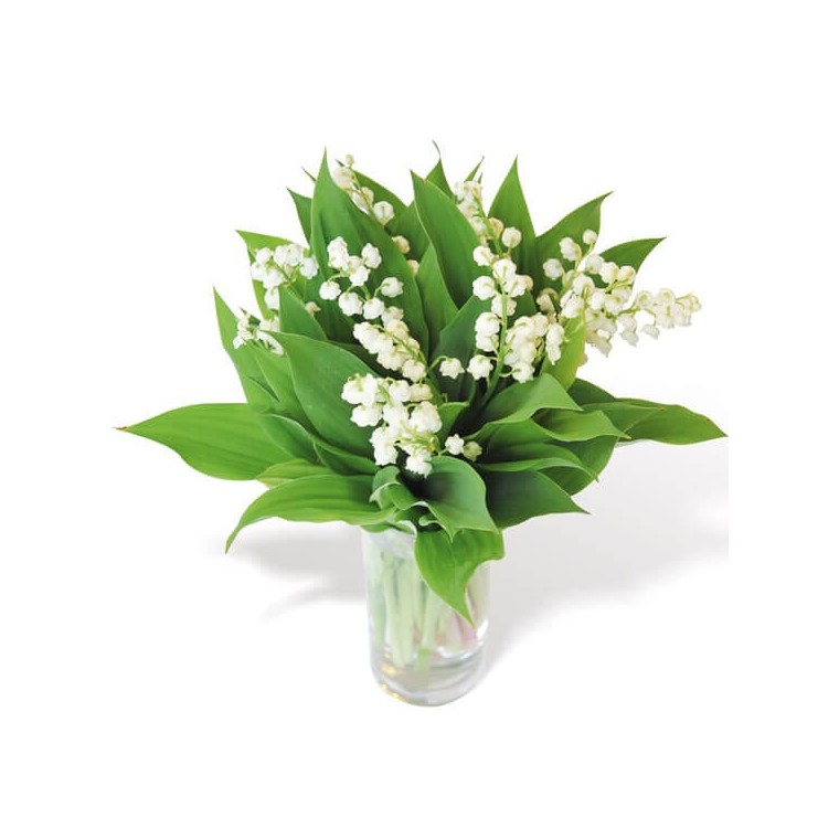 Image du bouquet de muguet heureux - Entrefleuristes